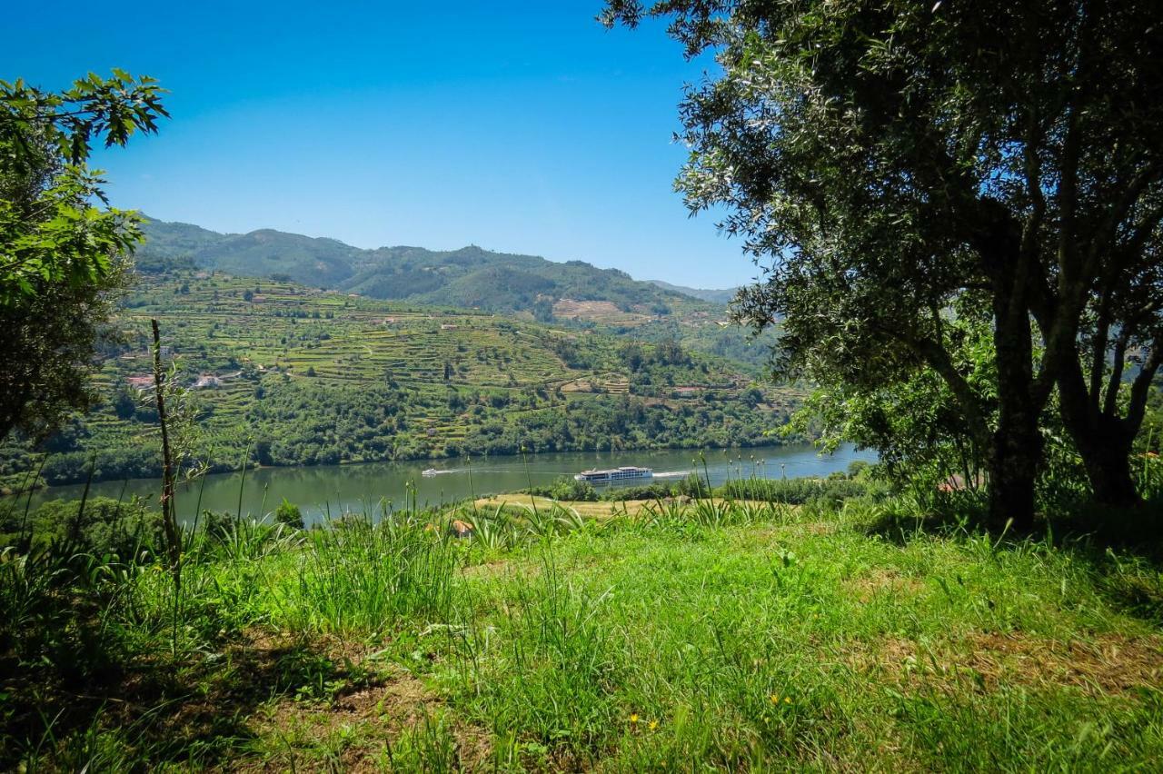 Casa Da Mouta - Douro Valley Baião Exterior foto