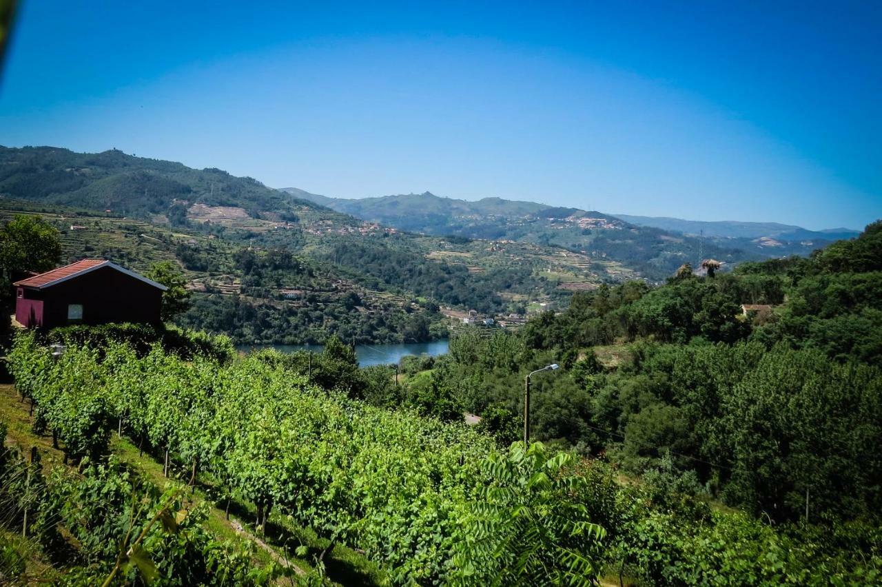Casa Da Mouta - Douro Valley Baião Exterior foto